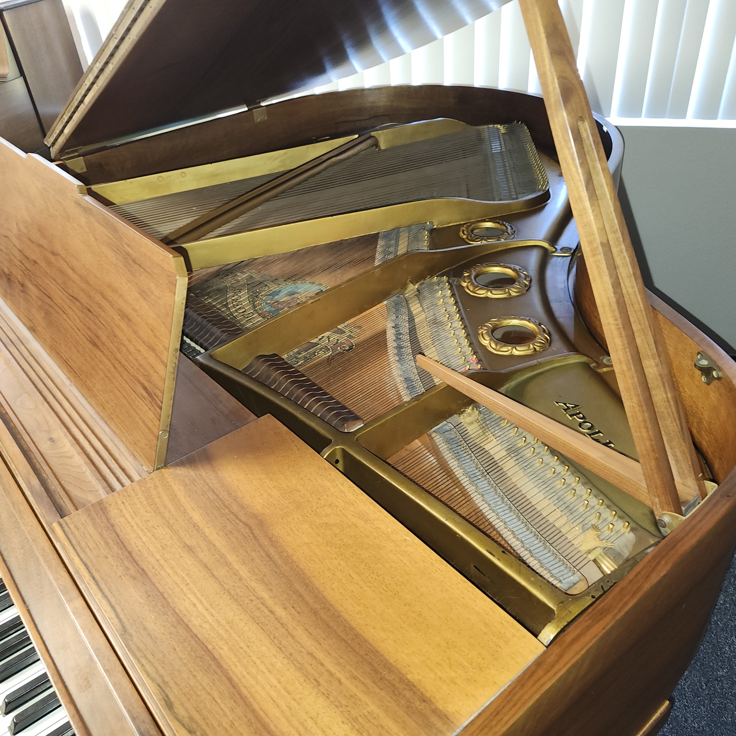 Resized_20251022_145711