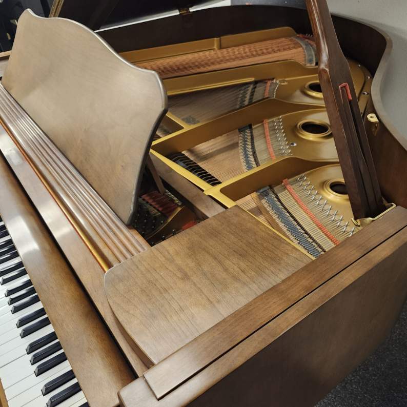 Resized_20251114_145044